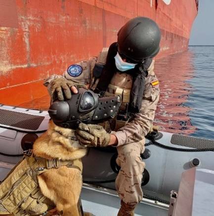El perro “Bolt” de la Armada (Julio Maíz/defensa.com) El perro “Bolt” de la Armada (Julio Maíz/defensa.com)