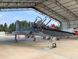 Uno de los dos T-38M pintados con el esquema de dos tonos de grises. (foto THK)