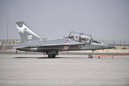 Avin de entrenamiento avanzado chino L-15  (Foto: CATIC/AVIC) 