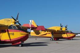 Dos de los aviones del 43 Grupo de Fuerzas A�reas (Ministerio de Defensa)
