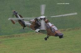 Los Tigre son pocos en n�mero y exponerlos a determinados cometidos puede ser oneroso y peligroso. (Octavio D�ez C�mara)