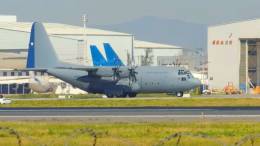 Hercules C-130H matr�cula 995 de la Fuerza A�rea de Chile.