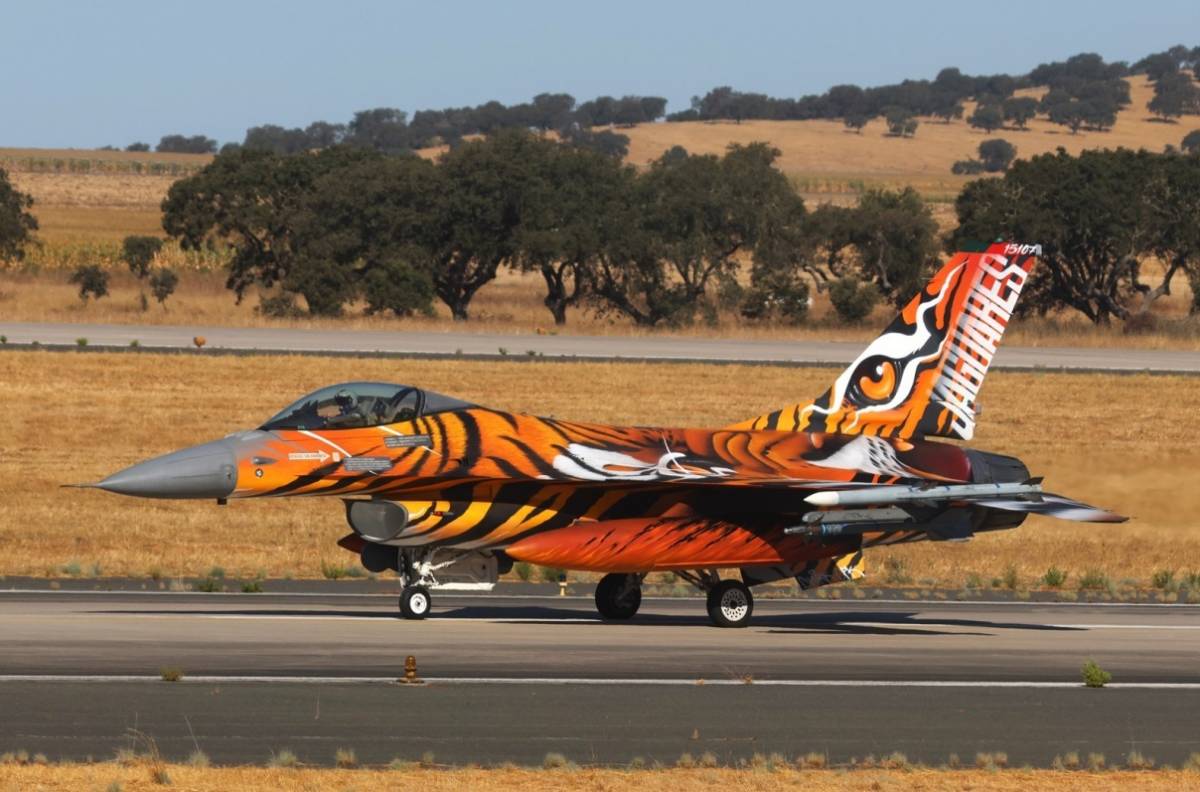 El F-16A MLU de la Esquadra 301 mereci� el premio de la aeronave participante mejor pintada con motivos especiales o �Best Tiger Aircraft�.